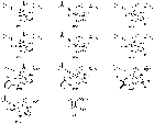 Replication data of Buchmeiser group for: "Stereoselective Ring-Opening Metathesis Polymerization with Tungsten Sulfido Alkylidene N-Heterocyclic Carbene Complexes"